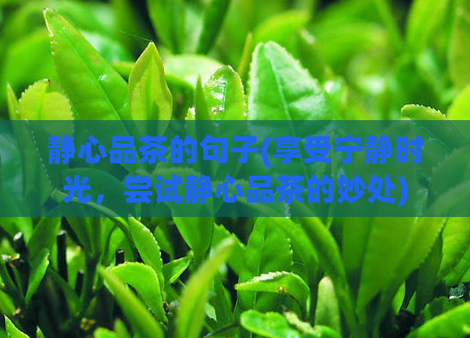 静心品茶的句子(享受宁静时光，尝试静心品茶的妙处)  第1张