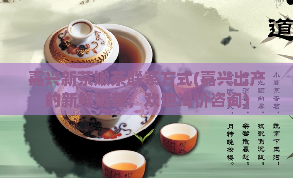 嘉兴新茶嫩茶联系方式(嘉兴出产的新鲜嫩茶，欢迎询价咨询)  第1张