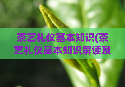 茶艺礼仪基本知识(茶艺礼仪基本知识解读及应用)  第1张