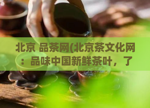 北京 品茶网(北京茶文化网：品味中国新鲜茶叶，了解北京传统茶文化)  第1张