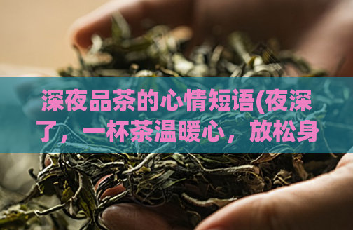 深夜品茶的心情短语(夜深了，一杯茶温暖心，放松身心的小幸福)  第1张