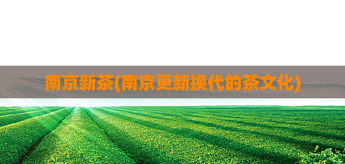 南京新茶(南京更新换代的茶文化)  第1张