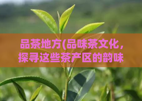 品茶地方(品味茶文化，探寻这些茶产区的韵味)  第1张