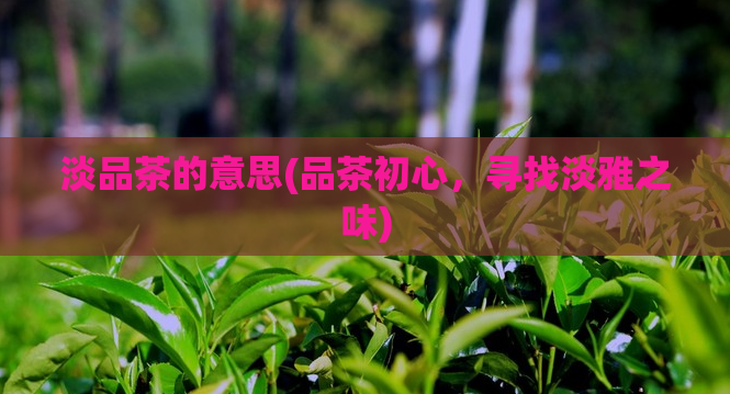 淡品茶的意思(品茶初心，寻找淡雅之味)  第1张