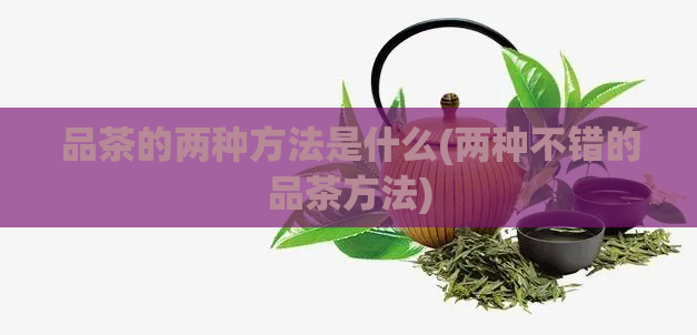 品茶的两种方法是什么(两种不错的品茶方法)  第1张