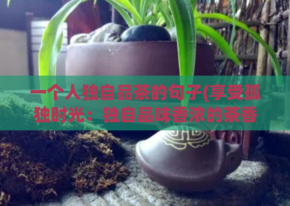 一个人独自品茶的句子(享受孤独时光：独自品味香浓的茶香)  第1张