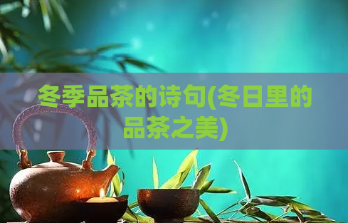 冬季品茶的诗句(冬日里的品茶之美)  第1张