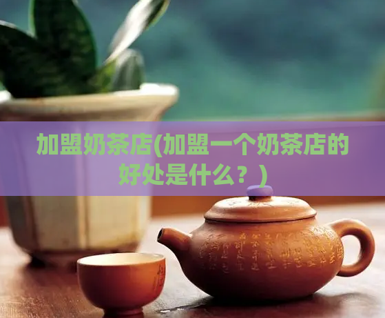 加盟奶茶店(加盟一个奶茶店的好处是什么？)  第1张