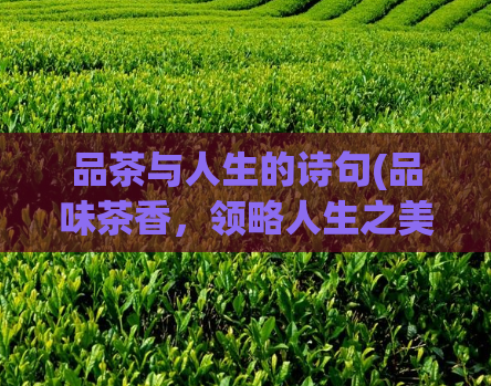 品茶与人生的诗句(品味茶香，领略人生之美)  第1张