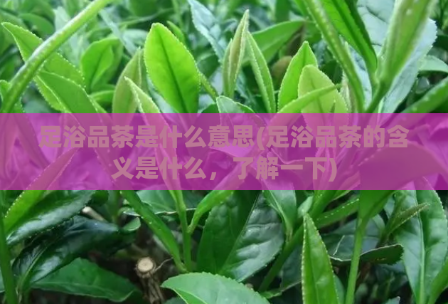 足浴品茶是什么意思(足浴品茶的含义是什么，了解一下)  第1张