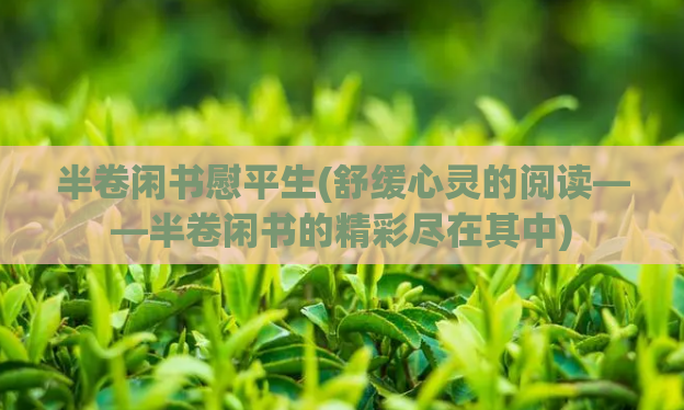 半卷闲书慰平生(舒缓心灵的阅读——半卷闲书的精彩尽在其中)  第1张