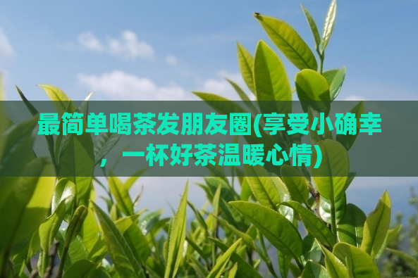 最简单喝茶发朋友圈(享受小确幸，一杯好茶温暖心情)  第1张
