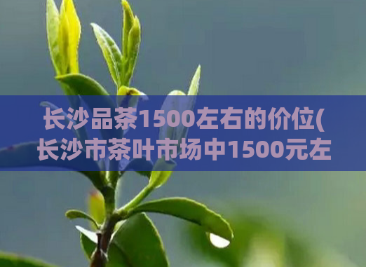 长沙品茶1500左右的价位(长沙市茶叶市场中1500元左右的品茶佳选)  第1张