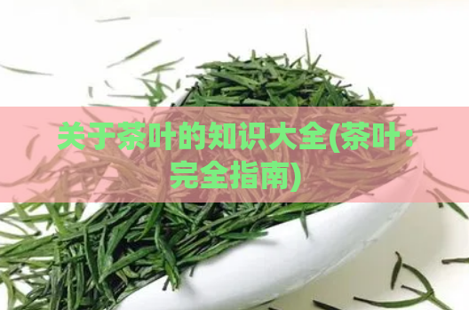 关于茶叶的知识大全(茶叶：完全指南)  第1张