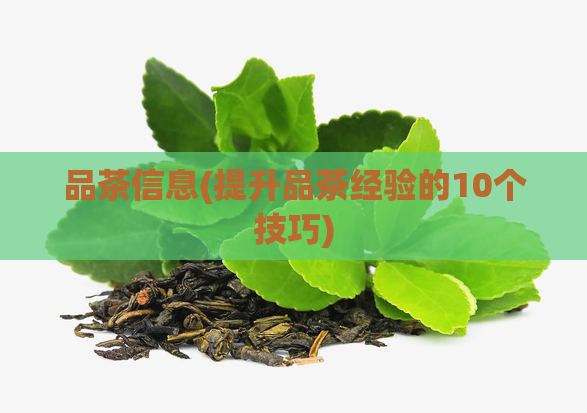 品茶信息(提升品茶经验的10个技巧)  第1张