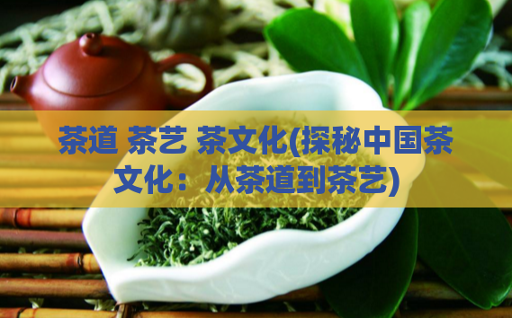 茶道 茶艺 茶文化(探秘中国茶文化：从茶道到茶艺)  第1张
