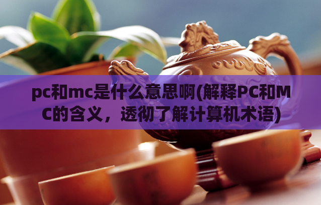 pc和mc是什么意思啊(解释PC和MC的含义，透彻了解计算机术语)  第1张