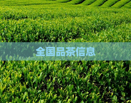 全国品茶信息  第1张