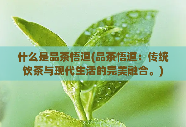 什么是品茶悟道(品茶悟道：传统饮茶与现代生活的完美融合。)  第1张