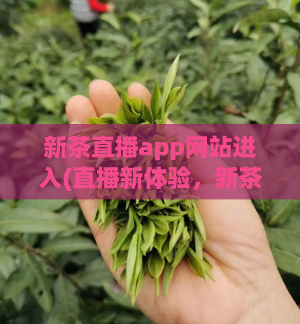 新茶直播app网站进入(直播新体验，新茶直播app正式上线！)  第1张