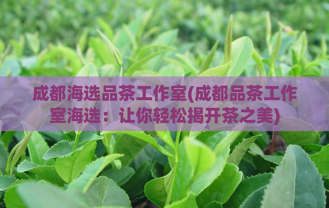 成都海选品茶工作室(成都品茶工作室海选：让你轻松揭开茶之美)  第1张