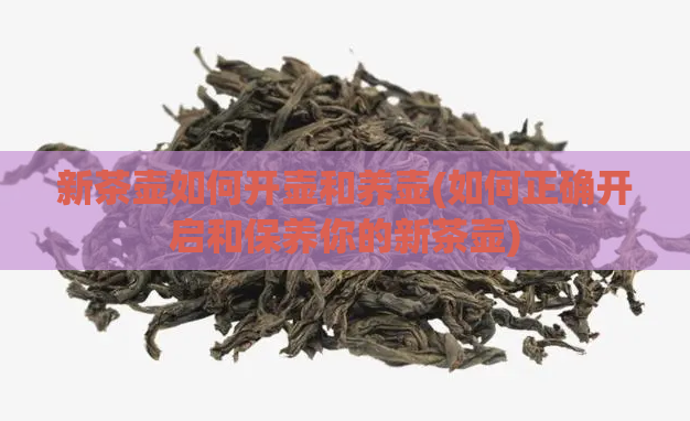 新茶壶如何开壶和养壶(如何正确开启和保养你的新茶壶)  第1张