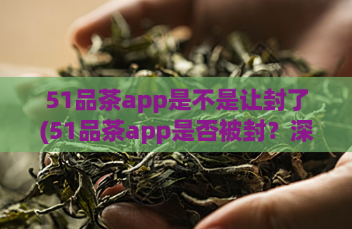 51品茶app是不是让封了(51品茶app是否被封？深度解析真相)  第1张