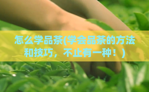 怎么学品茶(学会品茶的方法和技巧，不止有一种！)  第1张
