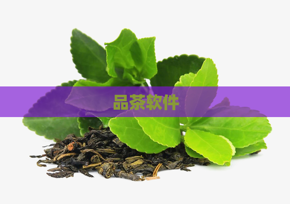 品茶软件  第1张