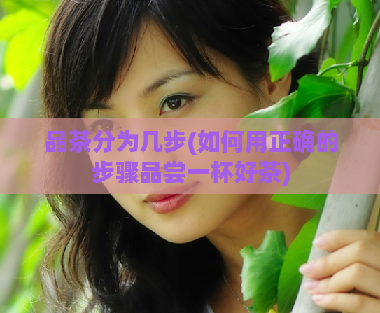 品茶分为几步(如何用正确的步骤品尝一杯好茶)  第1张