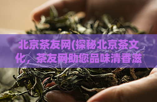 北京茶友网(探秘北京茶文化，茶友网助您品味清香滋味)  第1张