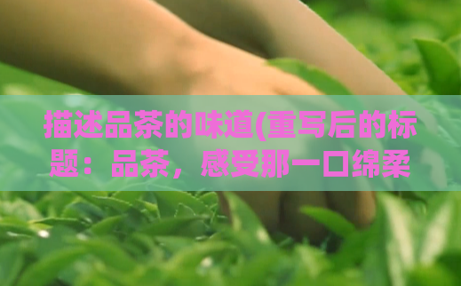 描述品茶的味道(重写后的标题：品茶，感受那一口绵柔的香气)  第1张