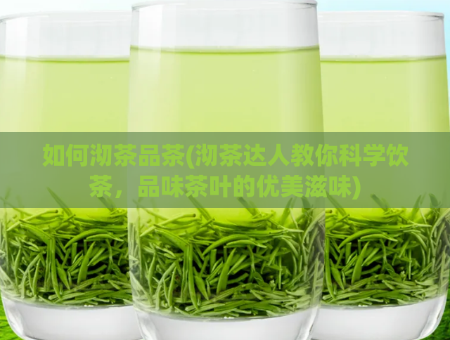 如何沏茶品茶(沏茶达人教你科学饮茶，品味茶叶的优美滋味)  第1张
