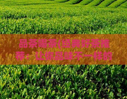 品茶喝茶(经典好茶推荐：让你品味不一样的喝茶体验)  第1张