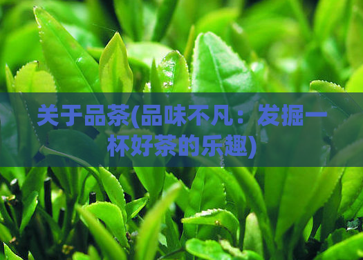 关于品茶(品味不凡：发掘一杯好茶的乐趣)  第1张