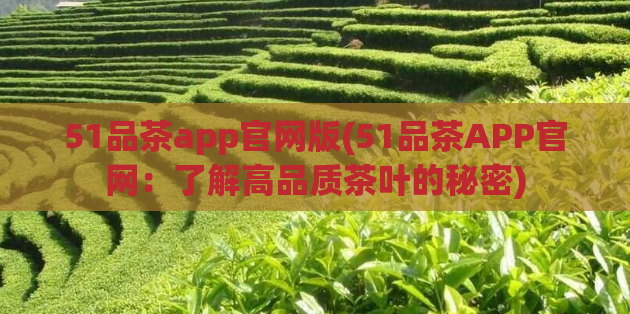 51品茶app官网版(51品茶APP官网：了解高品质茶叶的秘密)  第1张