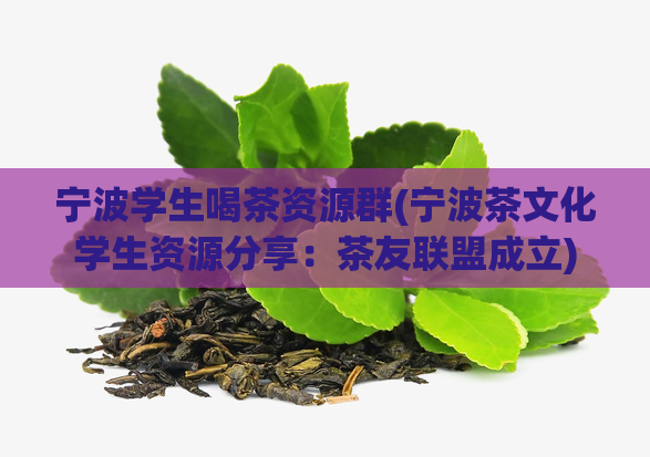 宁波学生喝茶资源群(宁波茶文化学生资源分享：茶友联盟成立)  第1张