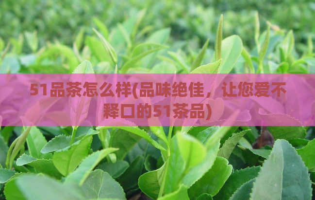 51品茶怎么样(品味绝佳，让您爱不释口的51茶品)  第1张