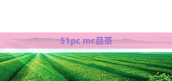 51pc mc品茶  第1张