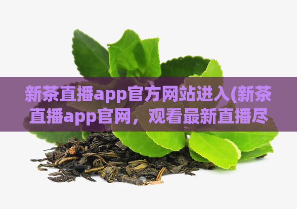新茶直播app官方网站进入(新茶直播app官网，观看最新直播尽在掌握)  第1张