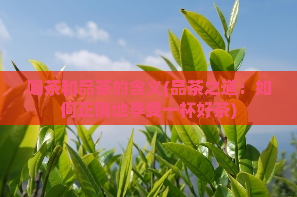 喝茶和品茶的含义(品茶之道：如何正确地享受一杯好茶)  第1张