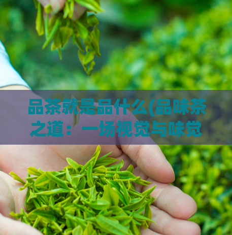 品茶就是品什么(品味茶之道：一场视觉与味觉的盛宴)  第1张