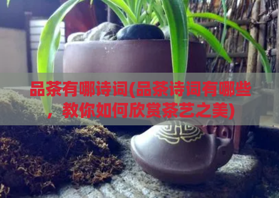 品茶有哪诗词(品茶诗词有哪些，教你如何欣赏茶艺之美)  第1张