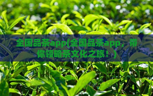 全国品茶app(全国品茶app，带你领略茶文化之旅！)  第1张