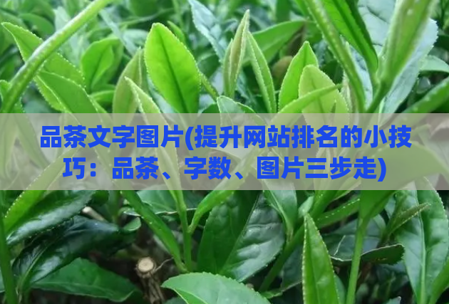 品茶文字图片(提升网站排名的小技巧：品茶、字数、图片三步走)  第1张