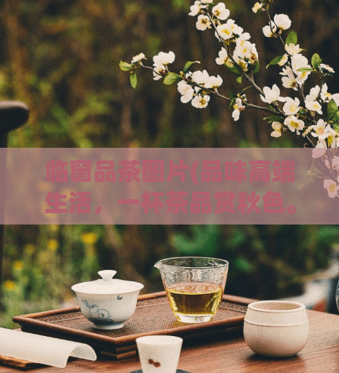 临窗品茶图片(品味高端生活，一杯茶品赏秋色。)  第1张