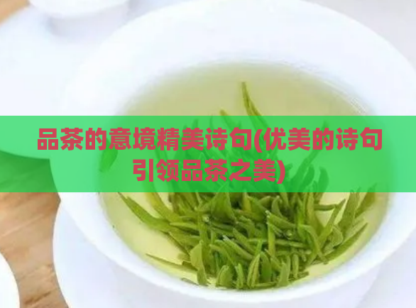 品茶的意境精美诗句(优美的诗句引领品茶之美)  第1张