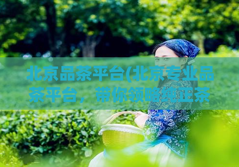 北京品茶平台(北京专业品茶平台，带你领略纯正茶香)  第1张