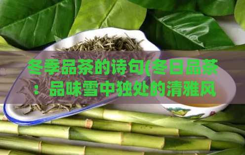 冬季品茶的诗句(冬日品茶：品味雪中独处的清雅风韵)  第1张