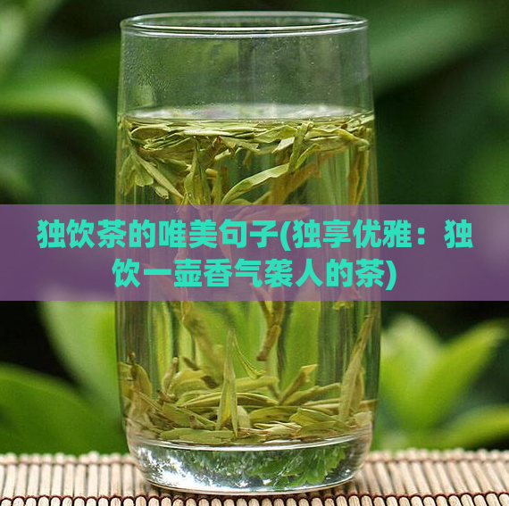 独饮茶的唯美句子(独享优雅：独饮一壶香气袭人的茶)  第1张